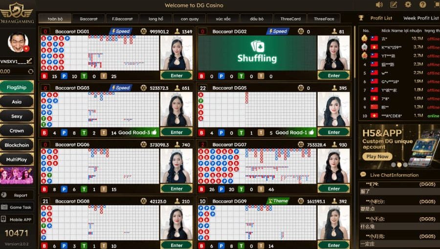 dg casino