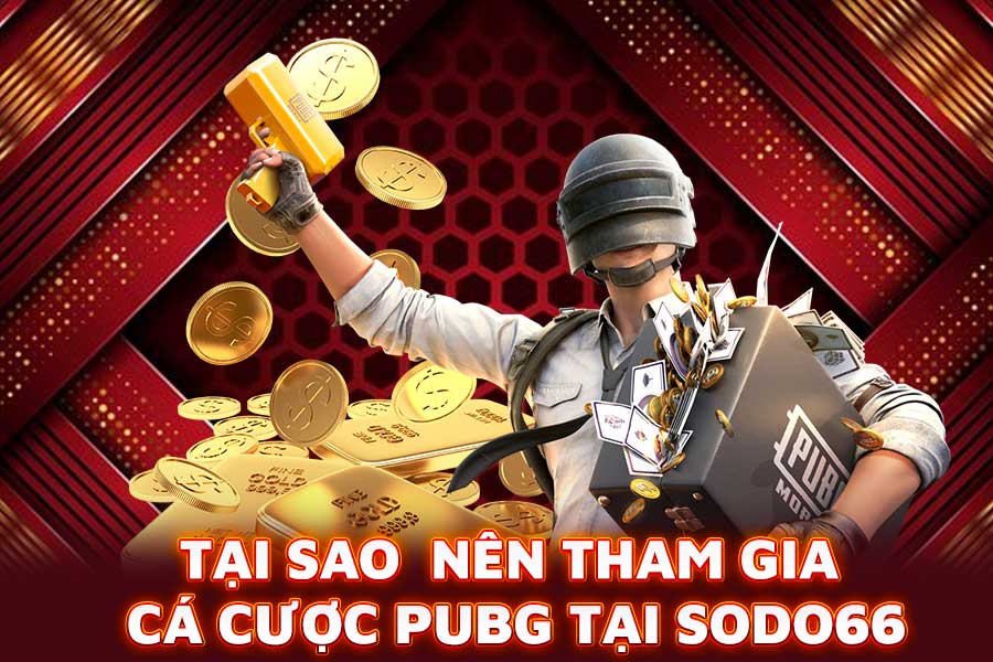 tại sao nên tham gia cá cược pubg tại sodo66